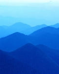 thumb_493689c29801a473.jpg