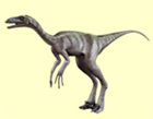 thumb_troodon_duk.jpg