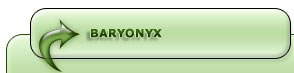 Baryonyx Dinosaur