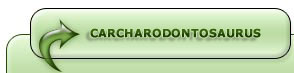 Carcharodontosaurus Dinosaur