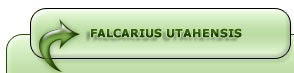 Falcarius utahensis Dinosaur