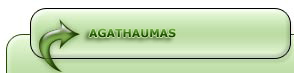 Agathaumas Dinosaur