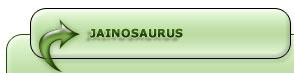 Jainosaurus Dinosaur