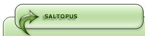 Saltopus Dinosaur