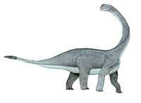 abrosaurus_dino