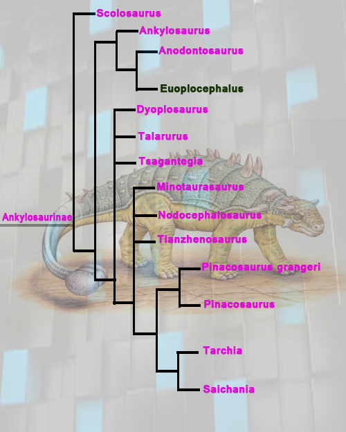 Euoplocephalus Family