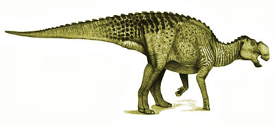 Gryposaurus