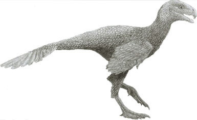 Incisivosaurus