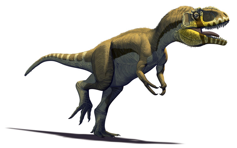 Labocania Dinosaur