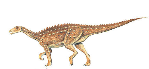Lusitanosaurus Dinosaur