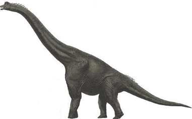 Labocania Dinosaur