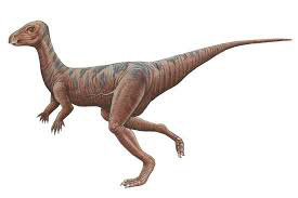 Lycorhinus Dinosaur