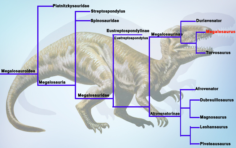 Megalosaurus Family