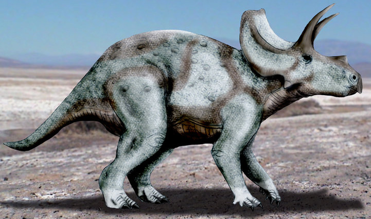 Ojoceratops Dinosaur