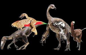 Origin of feathered Dinosaur Origin of feathered Dinosaur