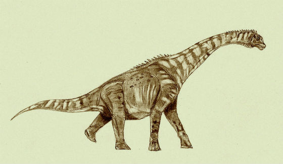 Venenosaurus Dinosaur