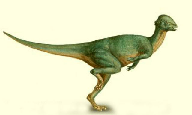 Wannanosaurus dinosaur