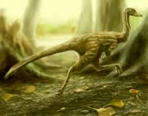 Xixianykus dinosaur