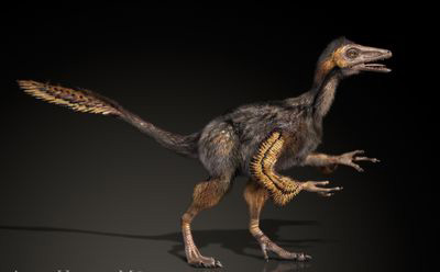 Yixianosaurus Dinosaur
