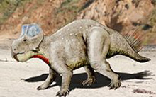 Zhuchengceratops Dinosaur