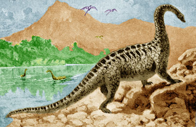 Amphicoelias Dinosaur