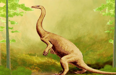 http://www.rareresource.com/images/anchisaurus.jpg