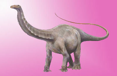 Apatosaurus Dinosaur