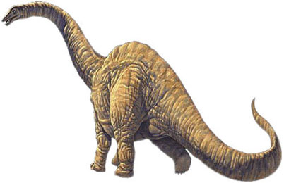 Argentinosaurus Dinosaur