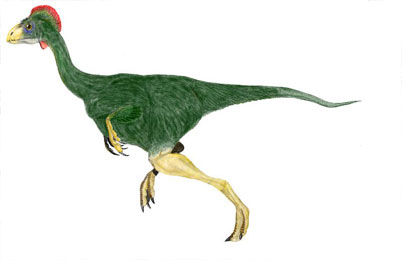 Avimimus portentosus Dinosaur