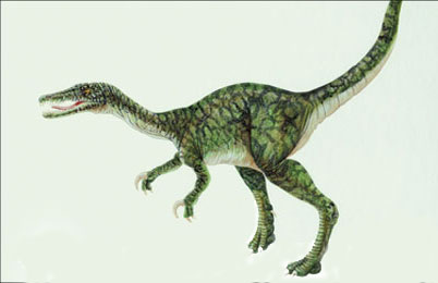 Baryonyx Dinosaur