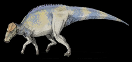 Brachylophosaurus Dinosaur