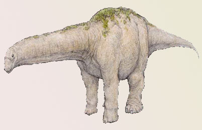 Bruhathkayosaurus Dinosaur