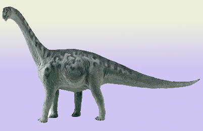 Camarasaurus Dinosaur