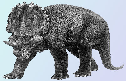 Centrosaurus Dinosaur