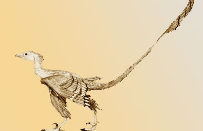 Cryptovolans Pauli Dinosaur