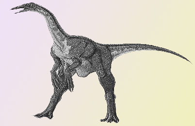 Deinocheirus Dinosaur