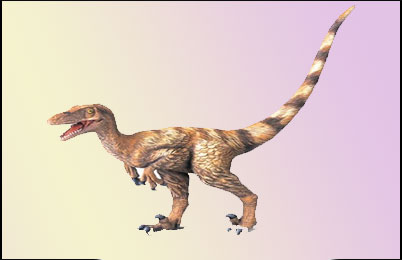 Deinonychus Dinosaur