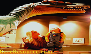 Dinosaurs Museums