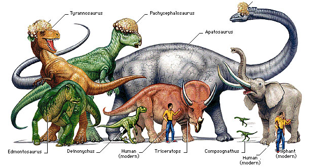 Dinosaurs Types Facts Museum Dinosaur News