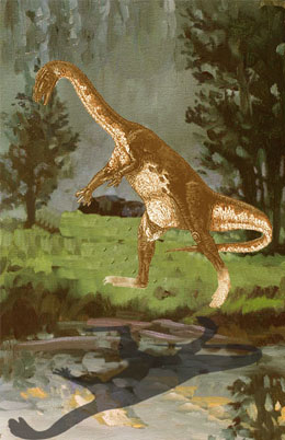 Ammosaurus Dinosaur