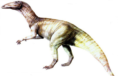 Anatosaurus Dinosaur