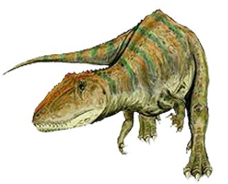 Carcharodontosaurus Dinosaur