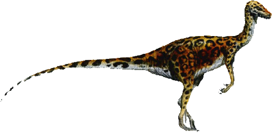 Coelurus Dinosaur 