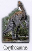 Corythosaurus-by-Nicola-Deschamps