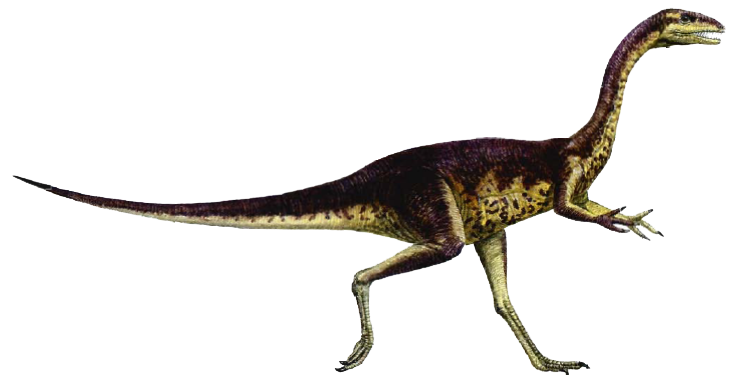 Elaphrosaurus Dinosaur