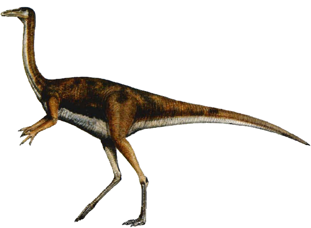Elaphrosaurus Dinosaur
