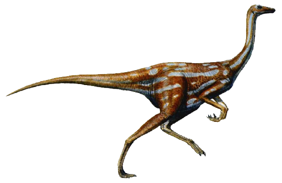 Ornithomimus Dinosaur 