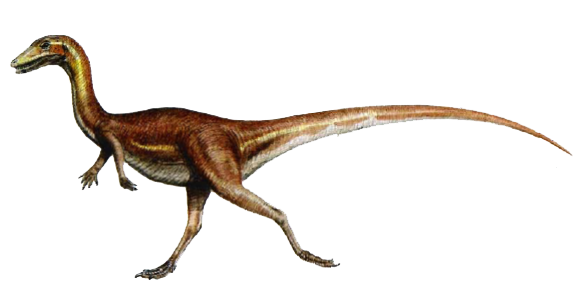 Procompsognathus Dinosaur 