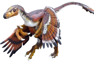 Bambiraptor Dinosaur