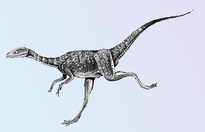 Compsognathus Dinosaur